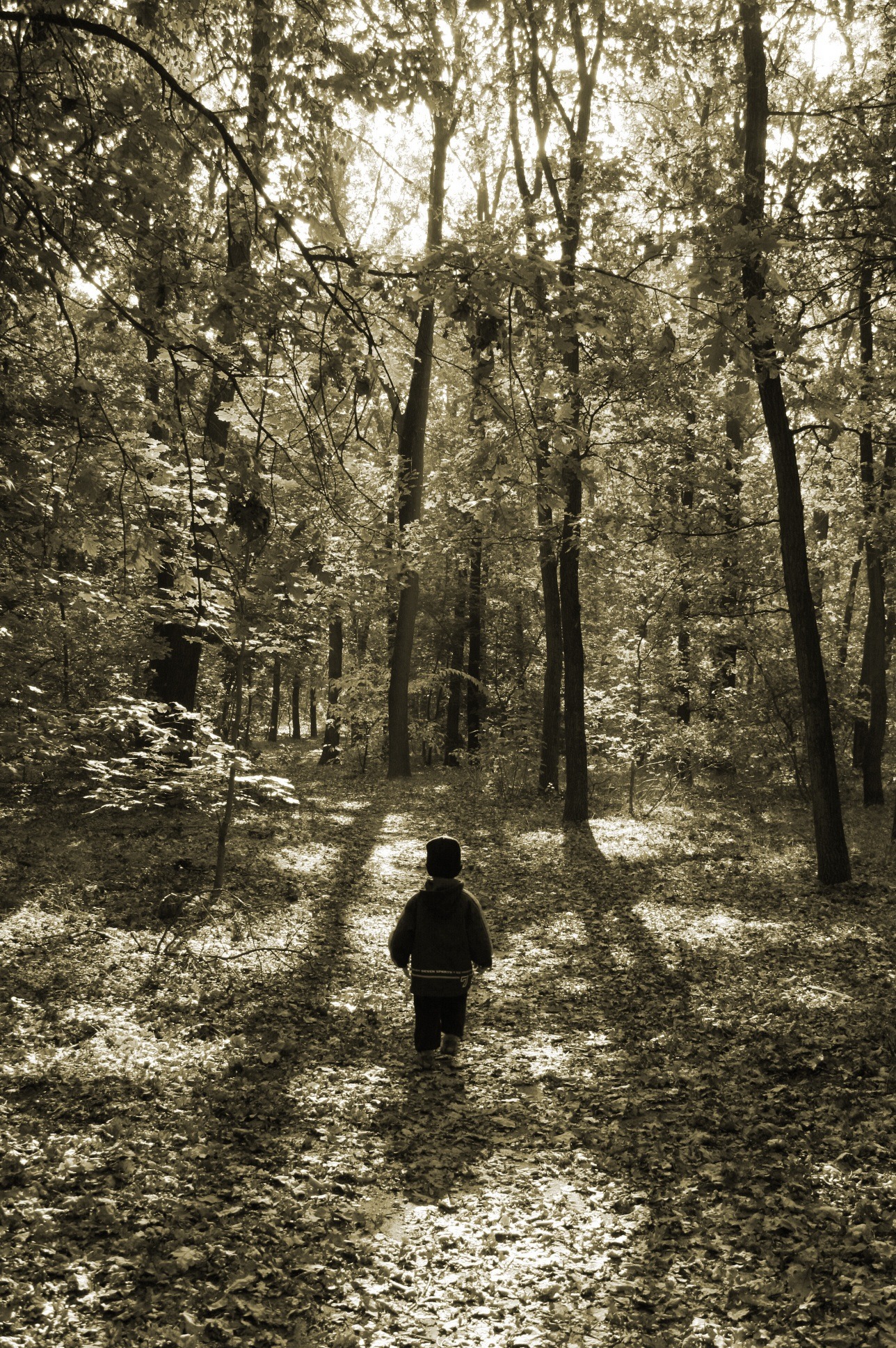 Kind läuft auf einem ruhigen Waldweg. Eine natürliche, reizarme Umgebung kann das Nervensystem gefühlsstarker Kinder entlasten.