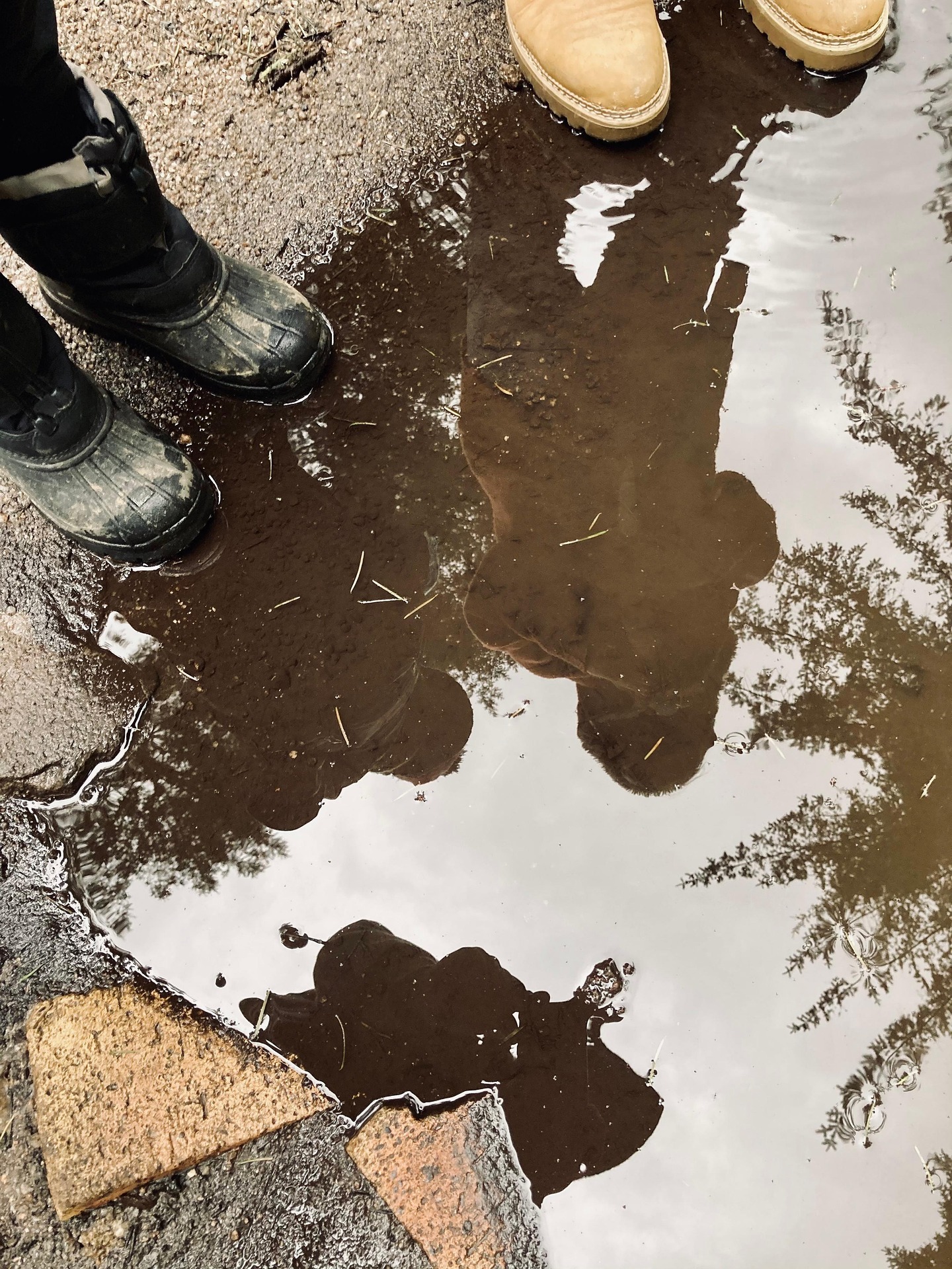Kind betrachtet aufmerksam eine Spiegelung im Wasser.